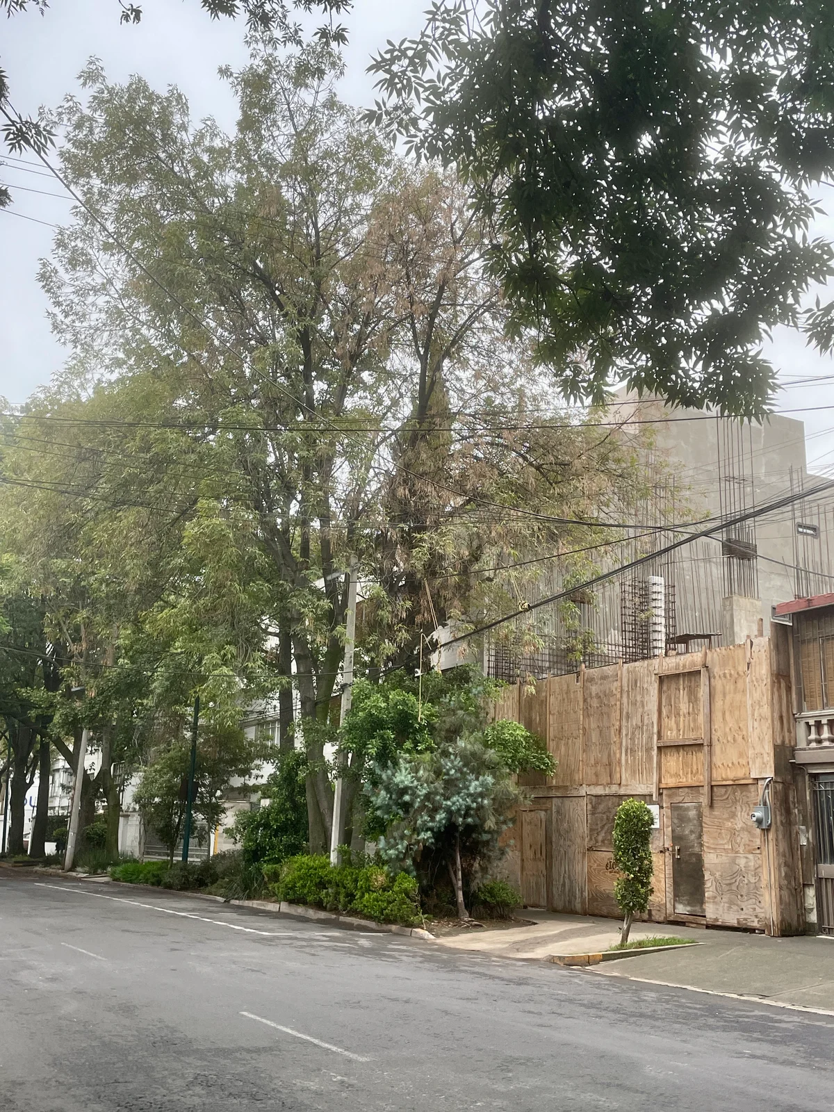 Departamento en pre venta en Polanco V Sección 3 Recámaras - Vista adicional